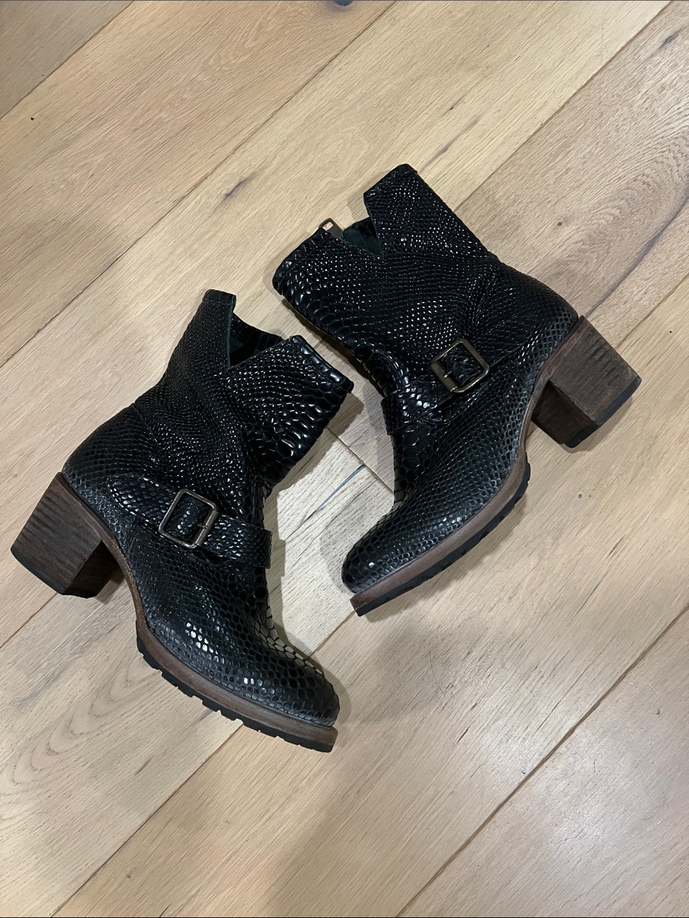 Freebird by Steven Black Textured Buckle Ankle Booties